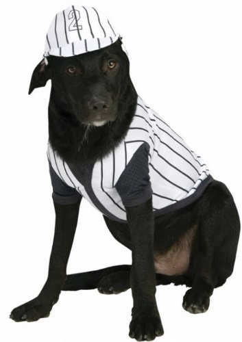 Costumes-for-all-Occasions-RU885924LG-Pet-Costume-Baseball-Player-Lg-0