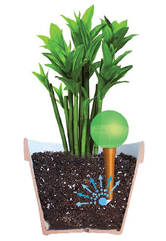 Plantpal-Watering-Globe-Plant-Watering-System-0-1