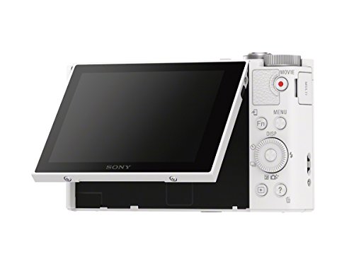 Sony-DSCWX500W-Digital-Camera-with-3-Inch-LCD-White-0-10