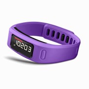 Garmin-Vivofit-Fitness-Band-Purple-0-1