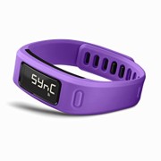 Garmin-Vivofit-Fitness-Band-Purple-0-2