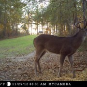 Moultrie-A5-Low-Glow-Game-Camera-0-0