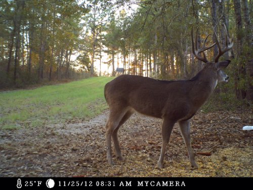 Moultrie-A5-Low-Glow-Game-Camera-0-0