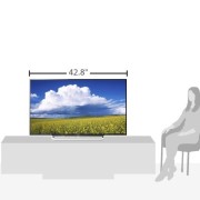 Sony-KDL48W600B-48-Inch-1080p-60Hz-Smart-LED-TV-2014-Model-0-2