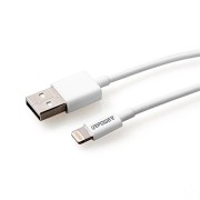 iPhone-6-CableURPOWER-8-Pin-Lightning-to-USB-Cable-for-iPhone-6iPhone-6-Plus-6-5s-5c-5-iPad-Air-iPad-MiniiPad-4th-GeniPod-Touch-5th-Gen-and-iPod-Nano-7th-Gen-33-Feet-0-2