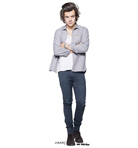 Harry-Styles-One-Direction-Advanced-Graphics-Life-Size-Cardboard-Standup-0