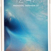 Apple-iPhone-6S-Factory-Sealed-Unlocked-Phone-64GB-Gold-0-0